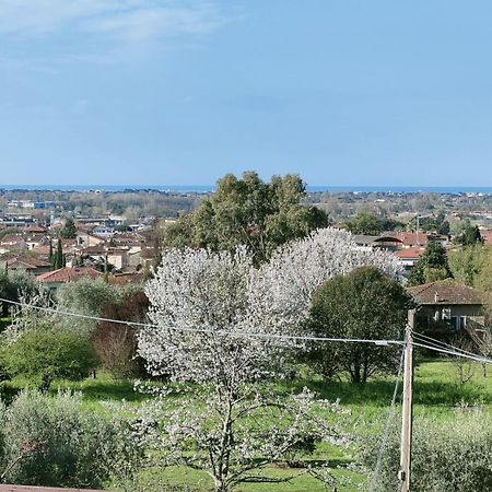 Casa Bianca Vila Pietrasanta Exterior foto