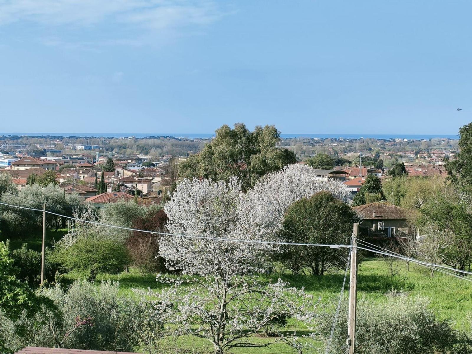 Casa Bianca Vila Pietrasanta Exterior foto